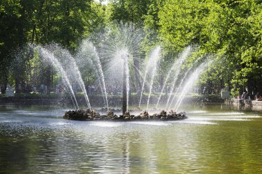 St. Petersburg, Rusya Federasyonu-4 Haziran, 2018: Peterhof, St. Petersburg aşağı Parkı bahçede güneş çeşme