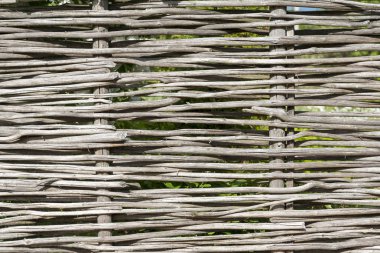 Arka plan olarak söğüt dalları duvarı. Kırsal eski çitler, söğüt ağacı dalları ve dallarından yapılmış..