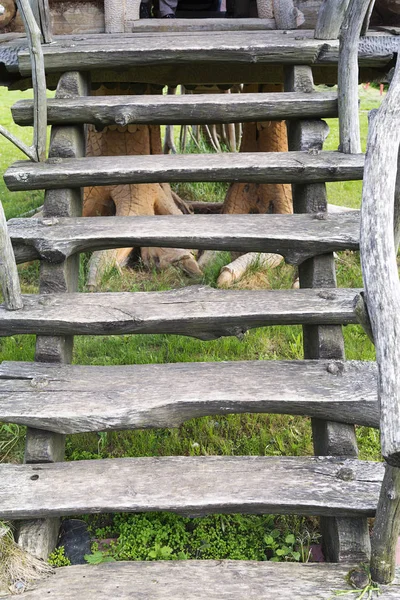 Oude Houten Grijs Trap Tot Het Dorpshuis — Stockfoto