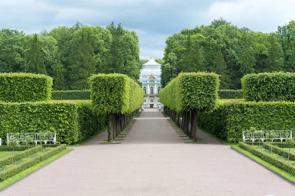 Tsarskoye Selo Pushkin Petersburg Alley Park Trees Shrubs Walking Paths — Stock Photo, Image