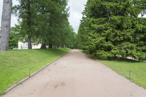 Tsarskoje Selo Pushkin Petersburg Gränd Park Träd Och Buskar Promenadvägar — Stockfoto