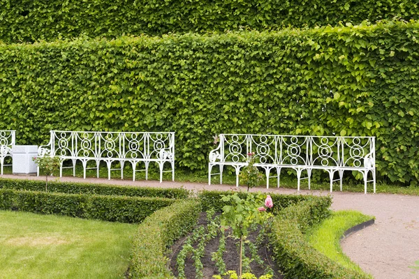 Catherine Park Tsarskoye Selo White Benches Summer Sunny Day — Stock Photo, Image