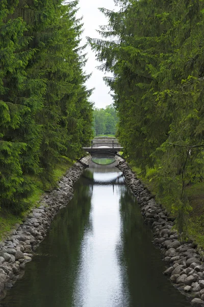 A small water channel with coniferous trees and a bridge in the Catherine Park, Pushkin village.