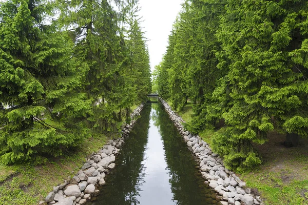 A small water channel with coniferous trees and a bridge in the Catherine Park, Pushkin village.