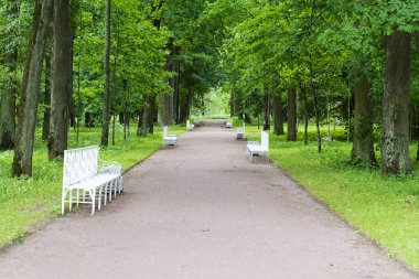 Beyaz banklar ve patikalar güneşli bir yaz Park.