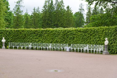 Beyaz banklar ve patikalar güneşli bir yaz Park.