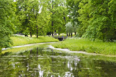 Yaz mevsiminde çiçek açan su ile küçük bir nehir manzarası.