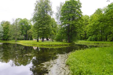 Yaz mevsiminde çiçek açan su ile küçük bir nehir manzarası.