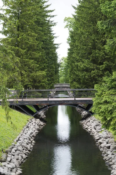 Pequeno Canal Água Com Árvores Coníferas Uma Ponte Jardim Verão — Fotografia de Stock