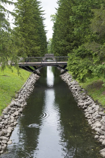 A small water canal with coniferous trees and a bridge in the summer garden.