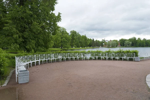 Sommaren Park Med Vita Bänkar Och Stigar Solig Dag — Stockfoto