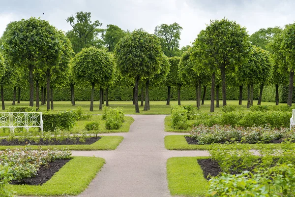 Summer Park Alleys Benches Footpaths Sunny Summer Day — Stock Photo, Image