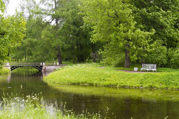 Bank Einem Sommerpark Der Nähe Des Flusses Mitten Sommer — Stockfoto