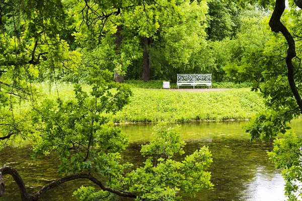 夏の真ん中に川の近くの夏の公園のベンチ ストック画像