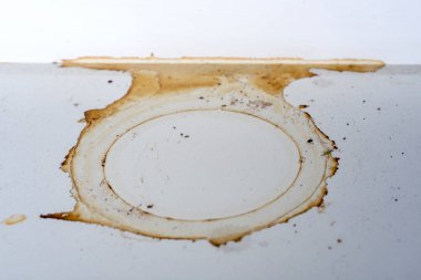 Pencere arka planı olarak çiçek pot izinde.