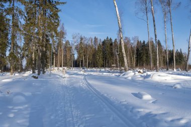Kayaklı koşu parkurları forest yakınındaki. Kış sporları bölge.