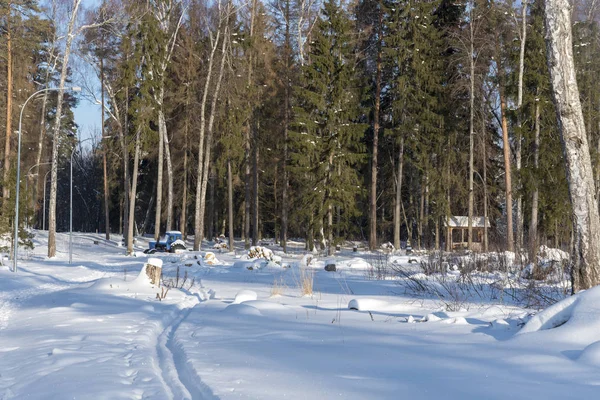 Tractor Bosque Invierno Cerca Del Pueblo Invierno Bosque Pino — Foto de Stock