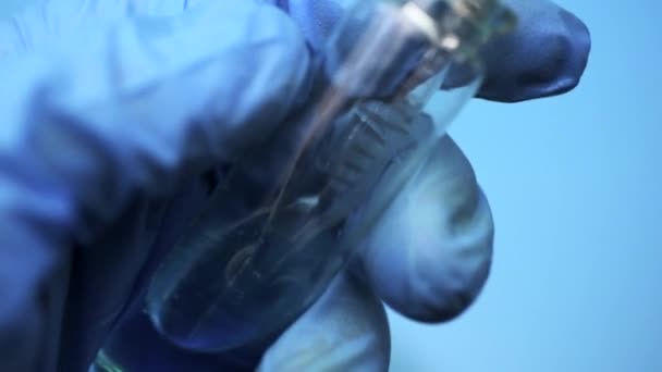 Arts Belt Een Blauwe Vloeistof Pipet Laboratorium Chemisch Onderzoek Het — Stockvideo