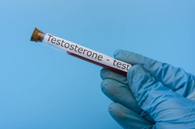 Mavi arka plana karşı el tutma testi testeron in vitro.
