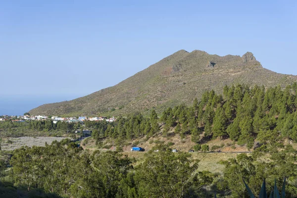 Mountains and forests in Tenerife green mountain hills and mountain roads. — Stock Photo, Image