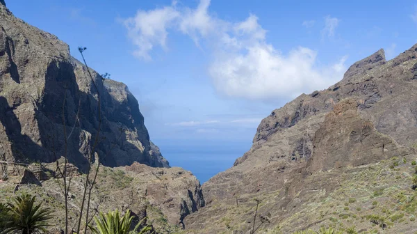 View of the mountains and the gorge mask. — Stock Photo, Image