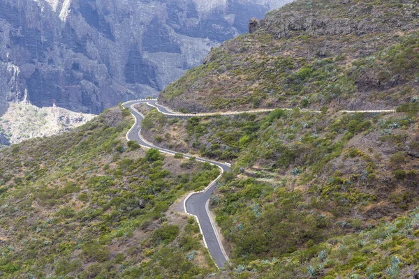 Route de montagne sur l'île de Tenerife, hautes montagnes et forêts denses . — Photo