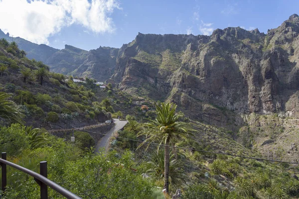 Route de montagne sur l'île de Tenerife, hautes montagnes et forêts denses . — Photo