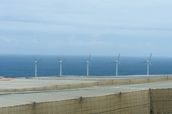 Wind Power Plant Station in Tenerife, Spain