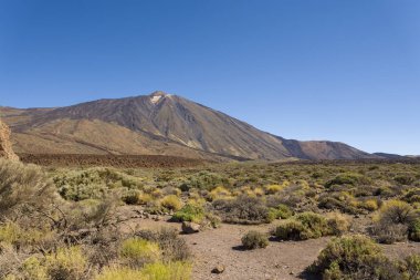Tide Ulusal Parkı, Tenerife, Kanarya Adaları, İspanya