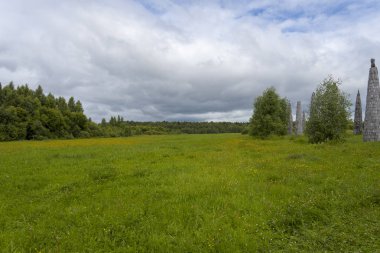 Yaz çayırları ve bulutlu kasvetli gökyüzü.
