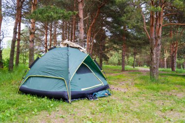 Yazın yeşil çadır, çam ormanı, çadırın yanında spor ayakkabılar. Turizm ve seyahat kavramı.
