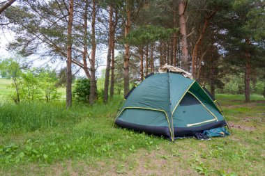 Yazın yeşil çadır, çam ormanı, çadırın yanında spor ayakkabılar. Turizm ve seyahat kavramı.