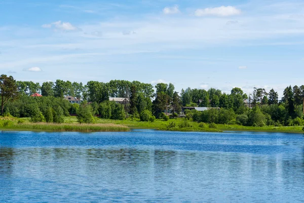 Kiefernwald Der Nähe Des Flusses Sommer Konzept Von Reisen Und — Stockfoto