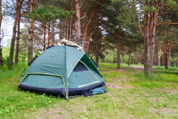 Tenda Verde Verão Pinhal Tênis Perto Tenda Conceito Turismo Viagens Fotografias De Stock Royalty-Free
