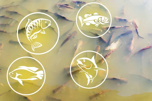 Fish icon on the background of a river with fish. The concept of fishing.