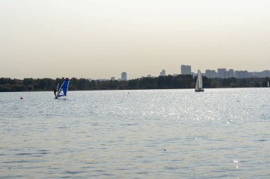 Rüzgâr sörfçüsü. Adam gökdelenlerin arka planında sörf yapıyor. Rüzgâr sörfü tahtasındaki adam. Şehirde rüzgar sörfü. Su sporları. Yelkenliyle sörf yapıyor..