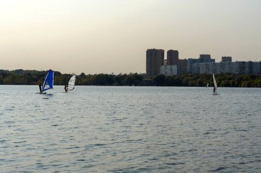 Rüzgâr sörfçüsü. Adam gökdelenlerin arka planında sörf yapıyor. Rüzgâr sörfü tahtasındaki adam. Şehirde rüzgar sörfü. Su sporları. Yelkenliyle sörf yapıyor..