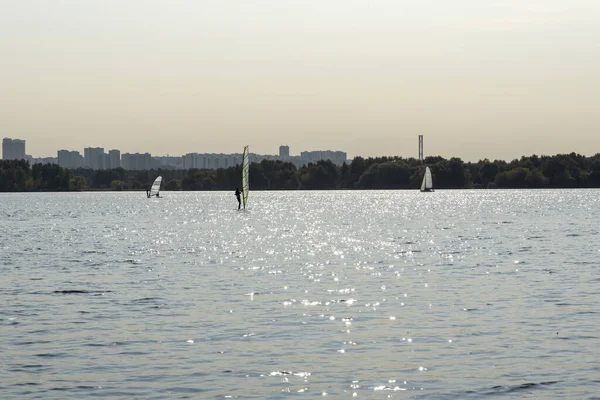 Surfař Člověk Surfuje Pozadí Mrakodrapů Muž Surfařské Tabuli Windsurfing Městě — Stock fotografie