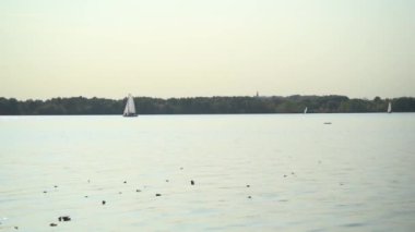 Moskova 'daki gölde rüzgar sörfü, Strogino. Spor ve eğlence konsepti.