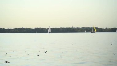 Moskova 'daki gölde rüzgar sörfü, Strogino. Spor ve eğlence konsepti.