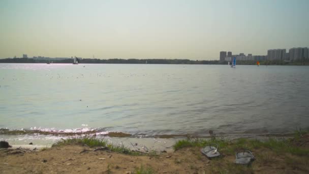 스테프로 모스크바의 호수에서 윈드서핑을 있습니다 스포츠와 오락의 — 비디오