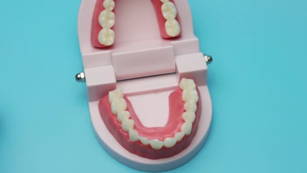 Zubař Který Otírá Zubní Protézy Zubní Protéza Simulace — Stock video