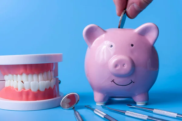 Mavi arka plan ve diş aletleri üzerinde Piggy Bank. Diş implantı ve tedavi için para biriktirme kavramı.