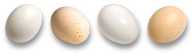 Yan yana dizilmiş dört farklı yumurta görüntüsü boyut, renk ve benek farklılıklarını vurgular. Pürüzsüz yüzeyler arka planda görsel olarak çekici bir karşıtlık yaratır.