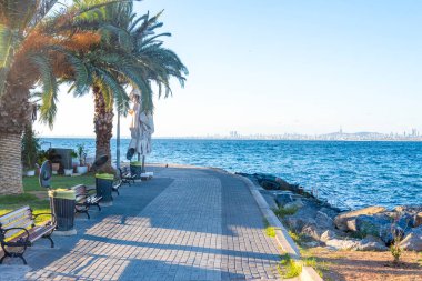 Mavi deniz boyunca uzanan manzaralı bir yürüyüş yolu, dinlenmek için palmiye ağaçları ve banklarla kaplı. Uzakta, açık gökyüzünün altında görünen bir şehir silueti var..