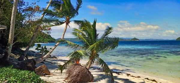 Dzika Plaża Tropikalna Palmy Kokosowe Turkusowe Wody Wyspa Palawan Filipiny — Zdjęcie stockowe