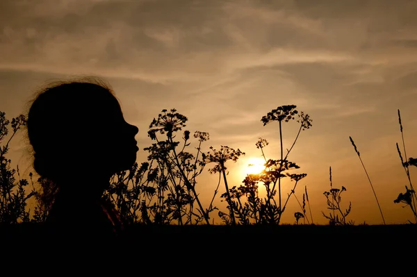 Silhouette d'une petite fille tête et herbe au coucher du soleil — Photo