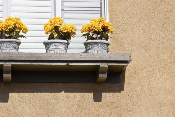 Three pots with flowers sit on a window ledge.