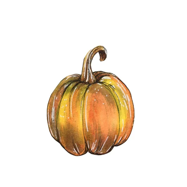 Watercolor Hand Drawn Pumpkin Illustration Isolate Clip Art — Stock Photo, Image