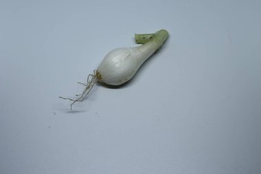 İzole edilmiş beyaz arka planda kökleri olan taze yeşil bahar soğanı.